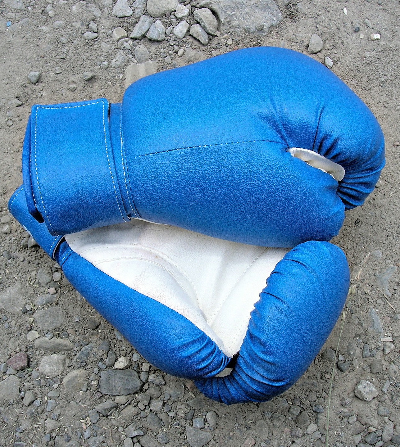 boxing star gloves